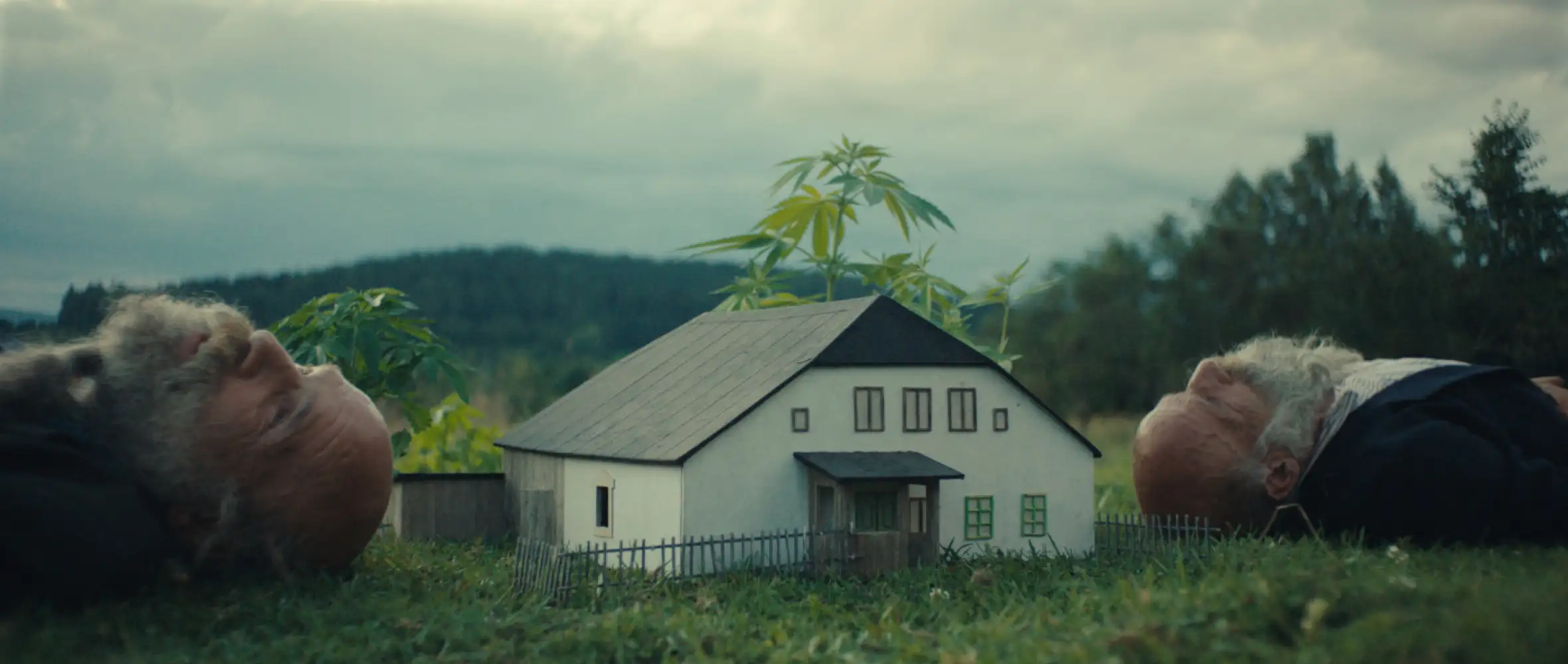Better Go Mad In the Wild wins the Crystal Globe at KVIFF