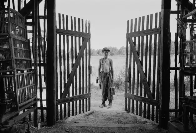 CZECH FILM / Fall 2019