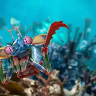 9 Million Colours