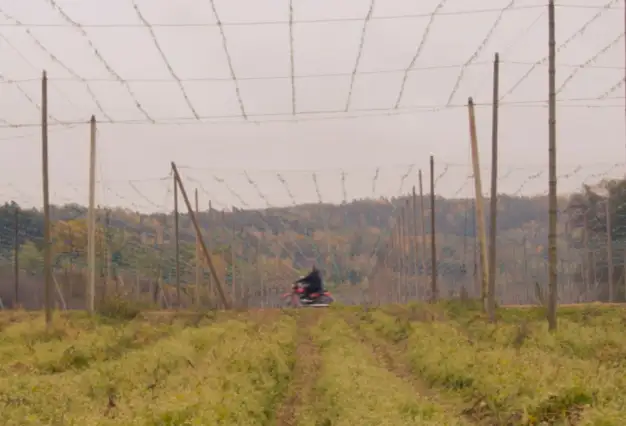 Czech Film Springboard 2025: Generation unsettled