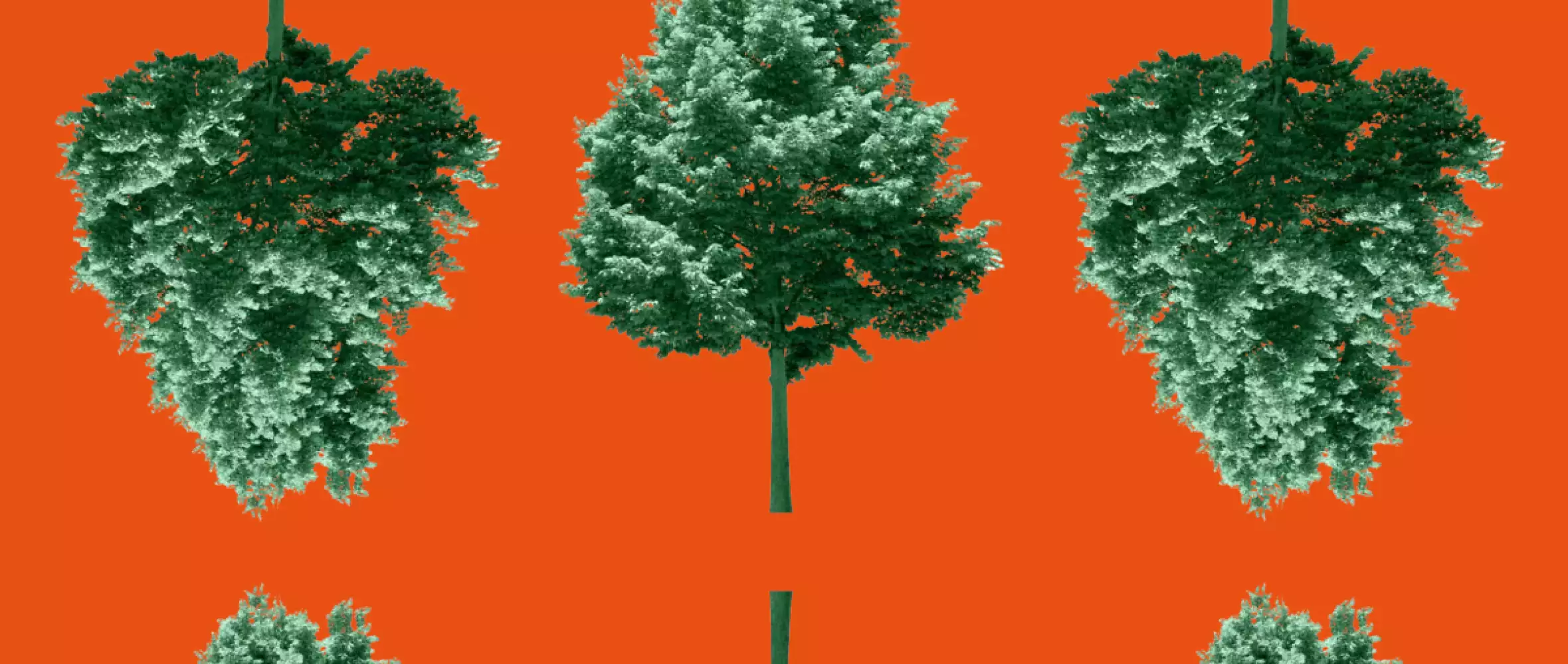 Katalog Czech Fiction Films 2021-2022