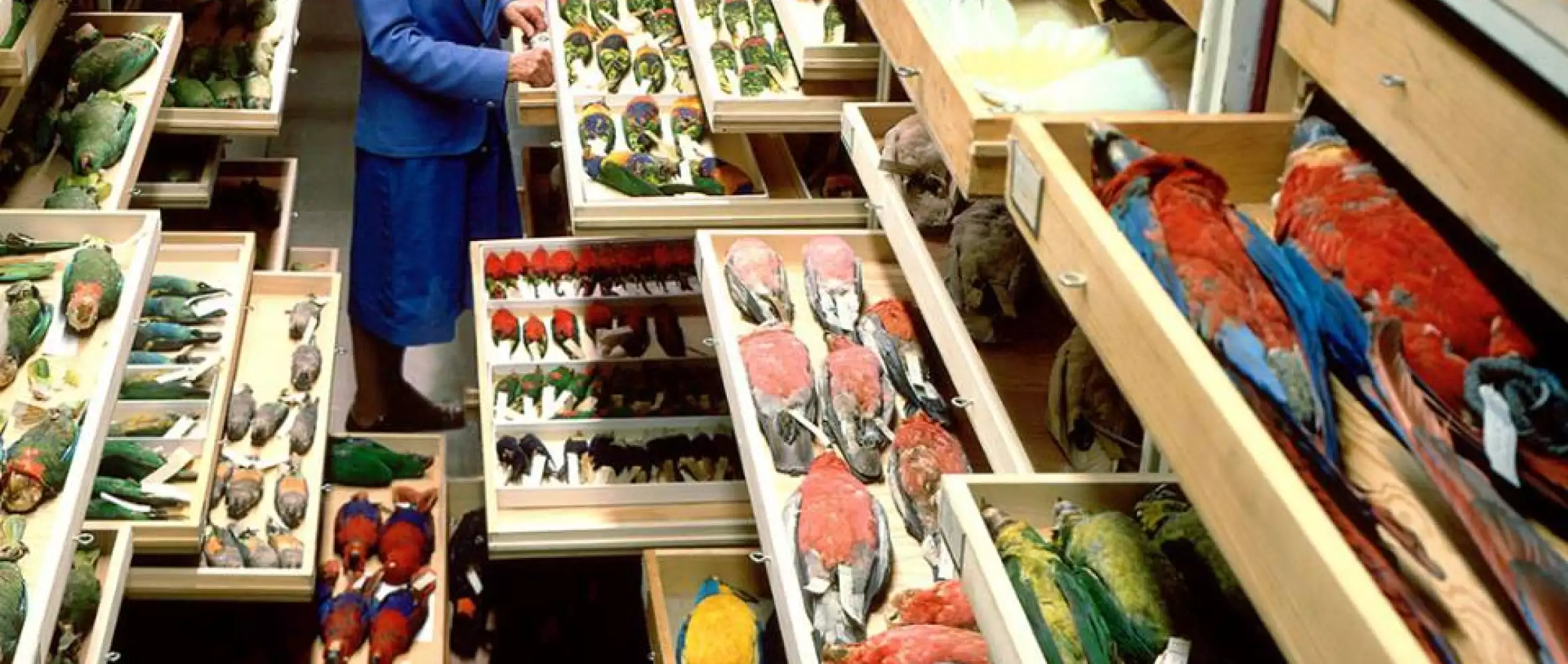 Czech Projects at Crossroads and Baltic Event