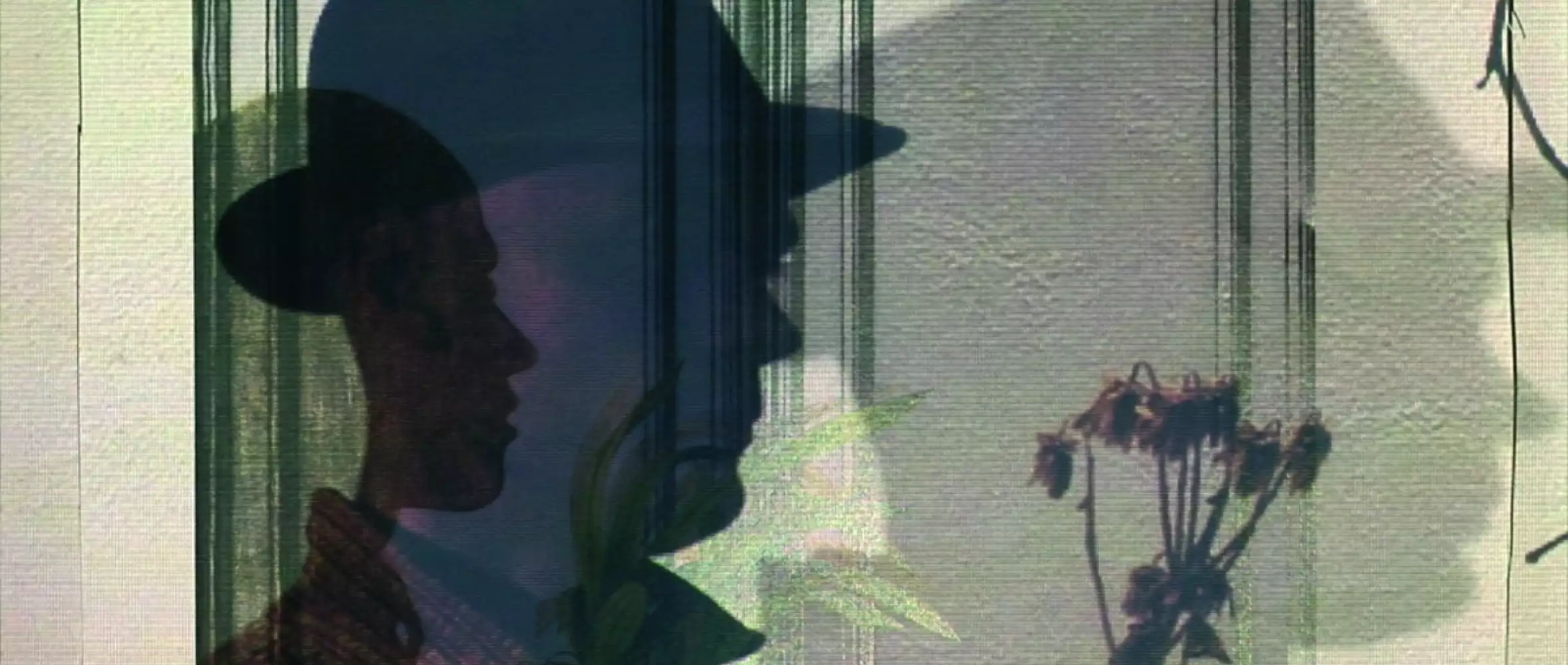 The Mastery of Jan Nemec, Rediscovered