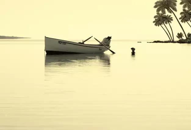 War with the Salamanders