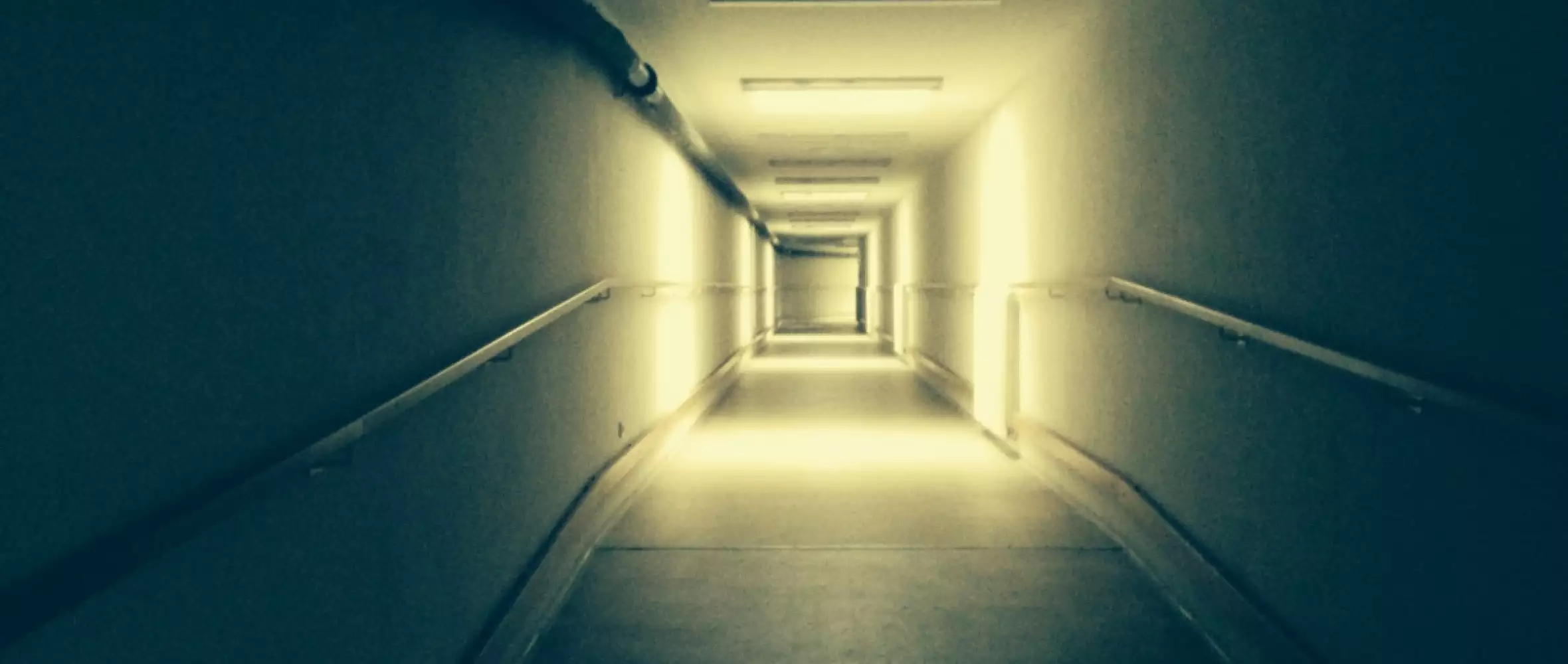 Czech Film Fund Supports Four Dozen Films