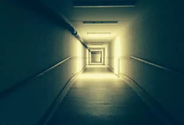 Czech Film Fund Supports Four Dozen Films