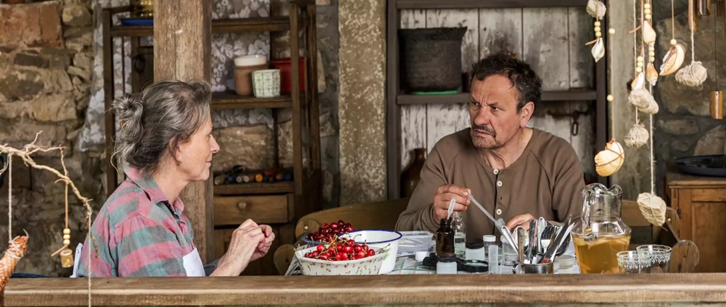 Spoor: Agnieszka Holland About Her New Movie