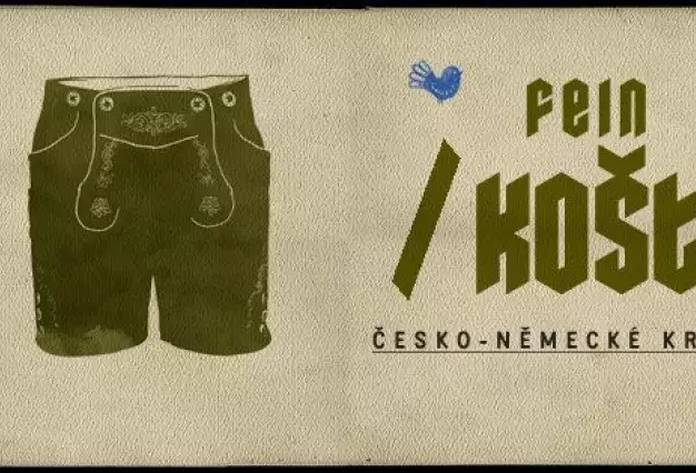 Fein.KOšt - Feine Kurzfilme im Ost - Czech and German short films