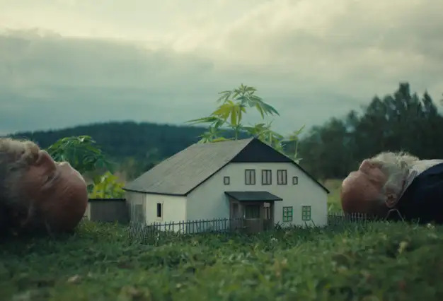 Raději zešílet v divočině