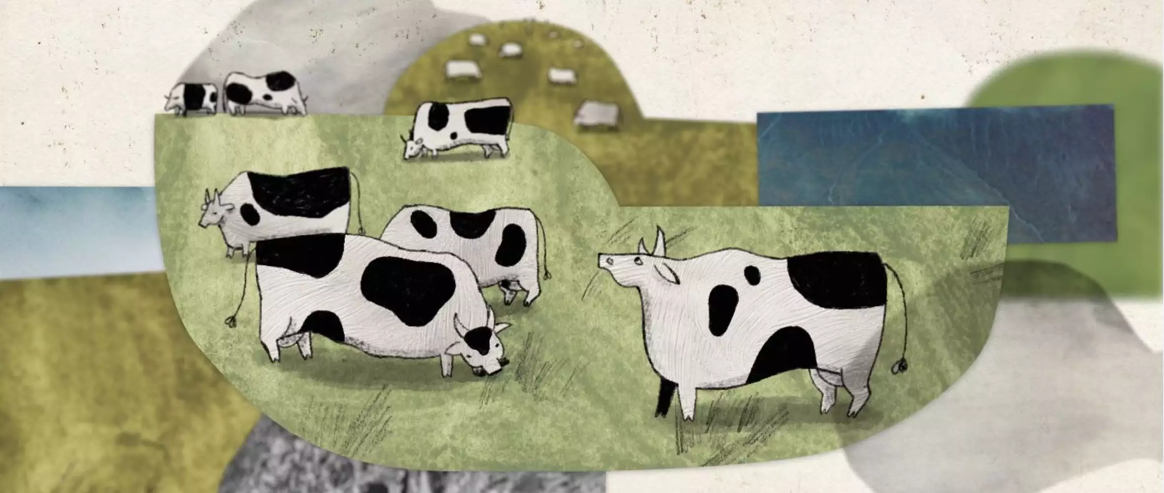 Krátký film O krávě bude soutěžit v Locarnu
