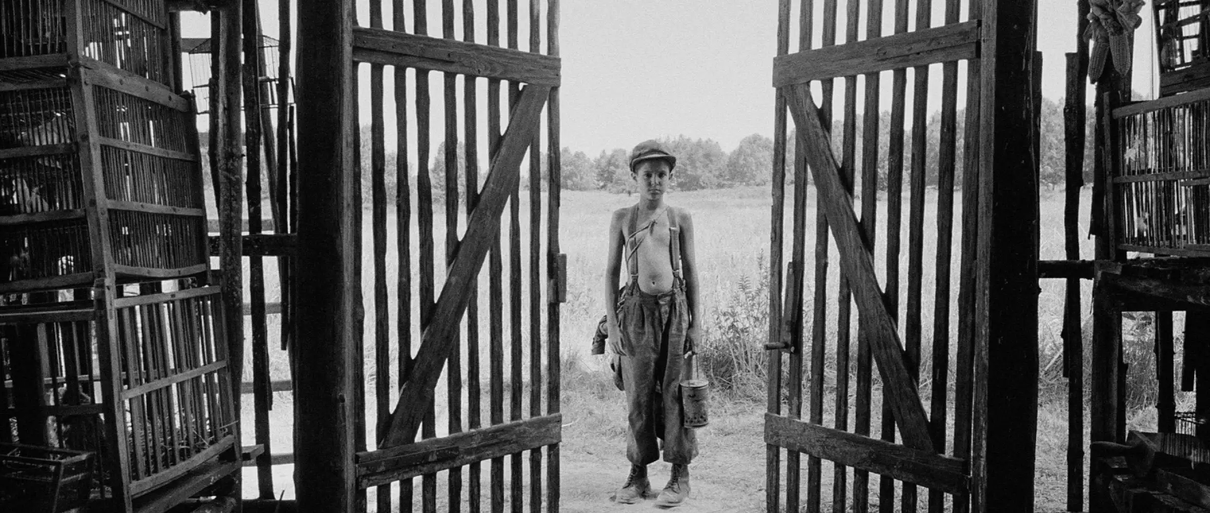 The harrowing journey of a young boy through Europe’s darkest hours