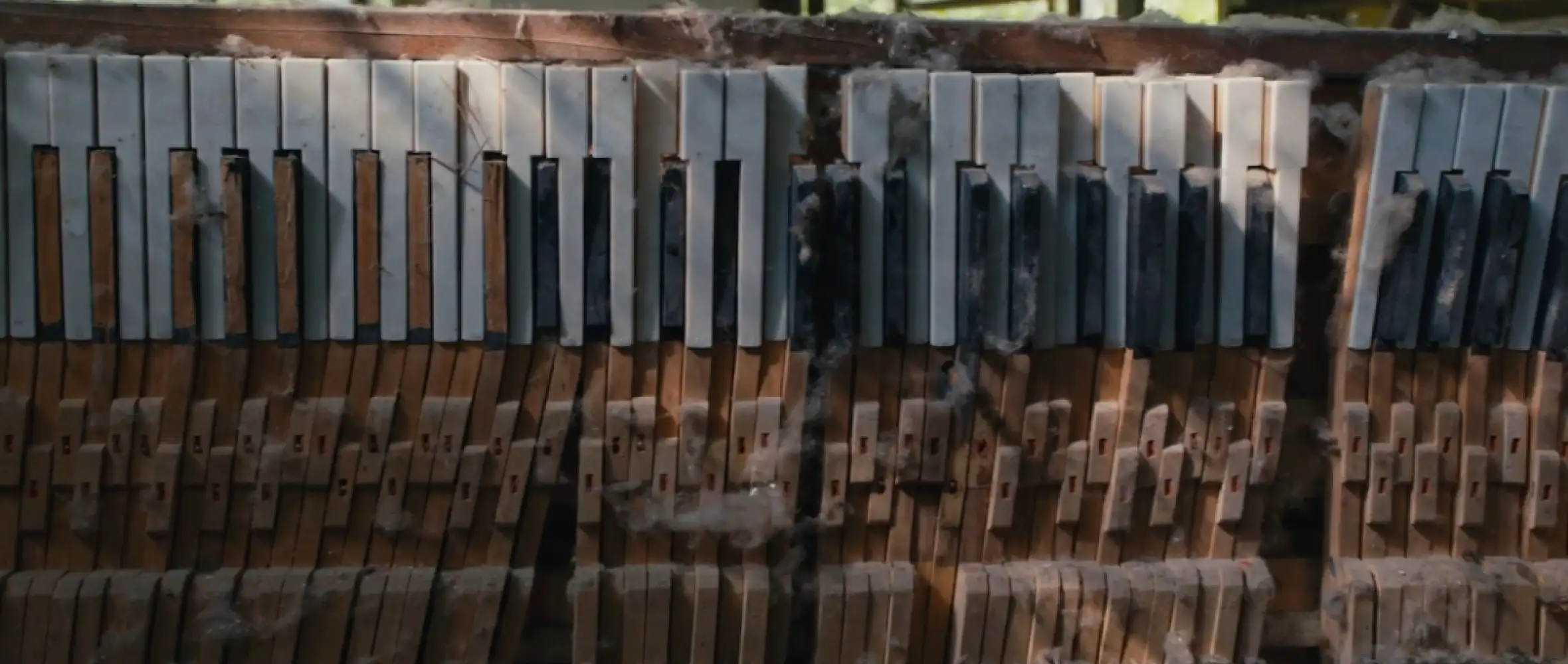 Na Visions du Réel 2020 se představí pět českých filmů