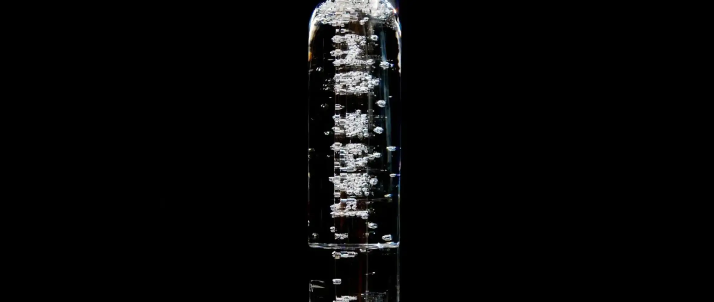 Užší výběr na Cenu Magnesia za rok 2024