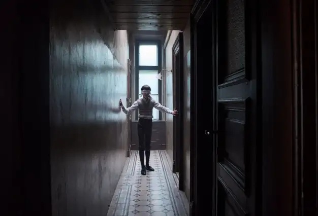 Franz : Not just another Franz Kafka biopic