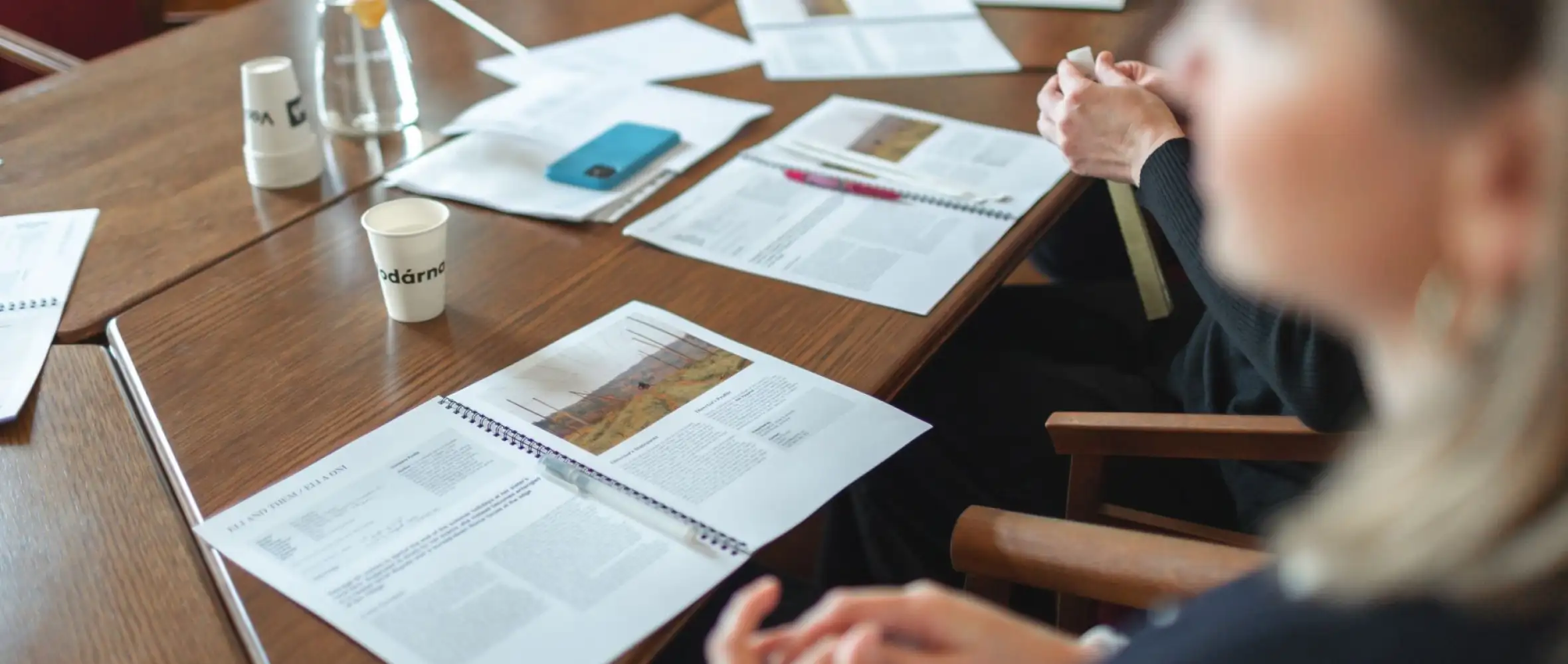 Czech Film Springboard