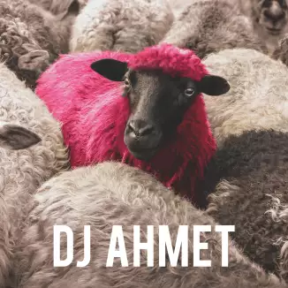 DJ Ahmet