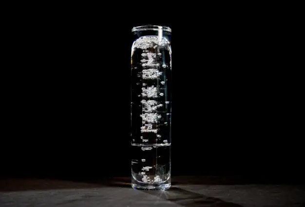 Užší výběr na Cenu Magnesia za rok 2024