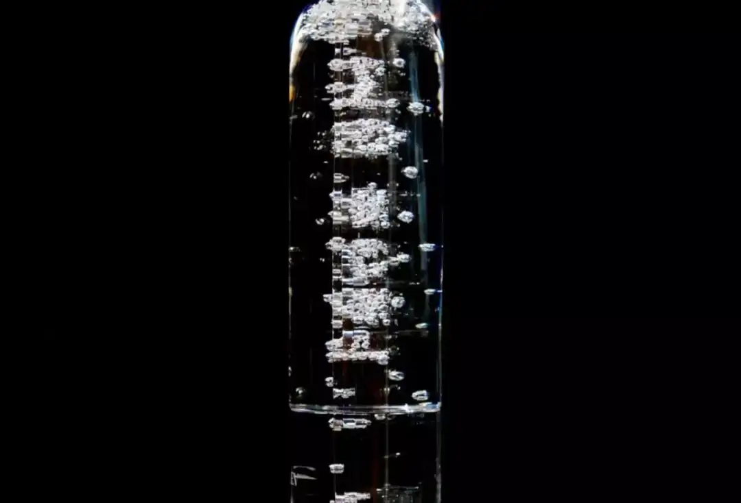 Užší výběr na Cenu Magnesia za rok 2025