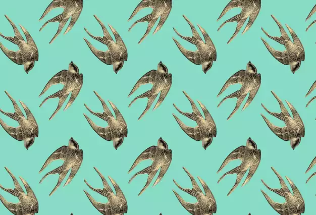 Katalog Czech Documentaries 2019-2020