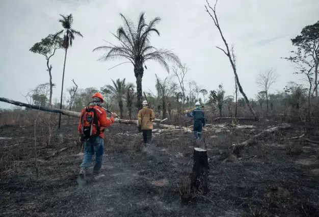 Incendios