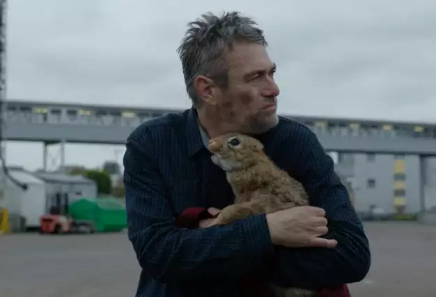 CZECH FILM / Summer 2017