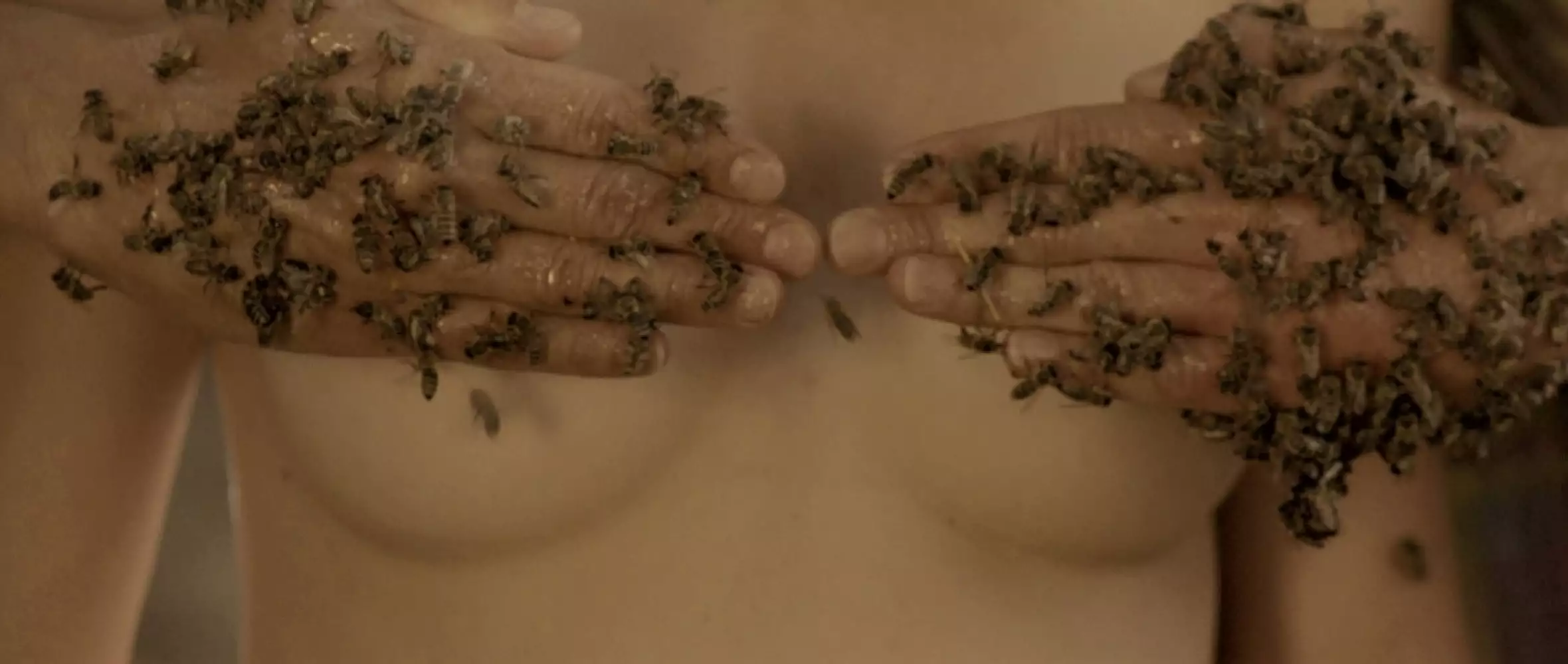 ENDORFILM: Global arthouse hits in the making