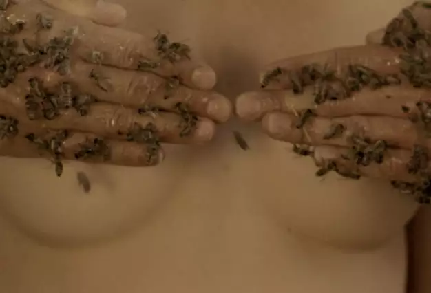 ENDORFILM: Global arthouse hits in the making