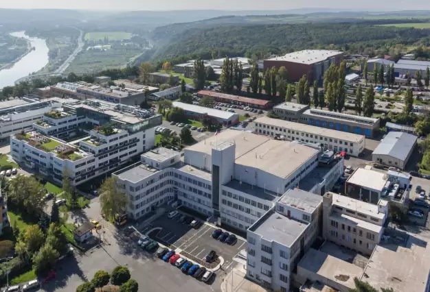 Beautiful, and with a Good Head to Match!