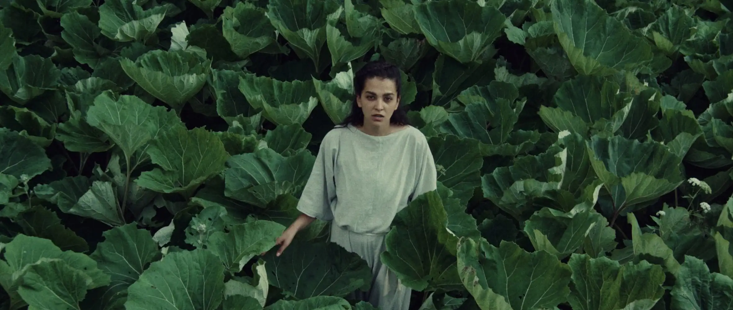 Orla by Marie Lukáčová to compete at IFF Rotterdam