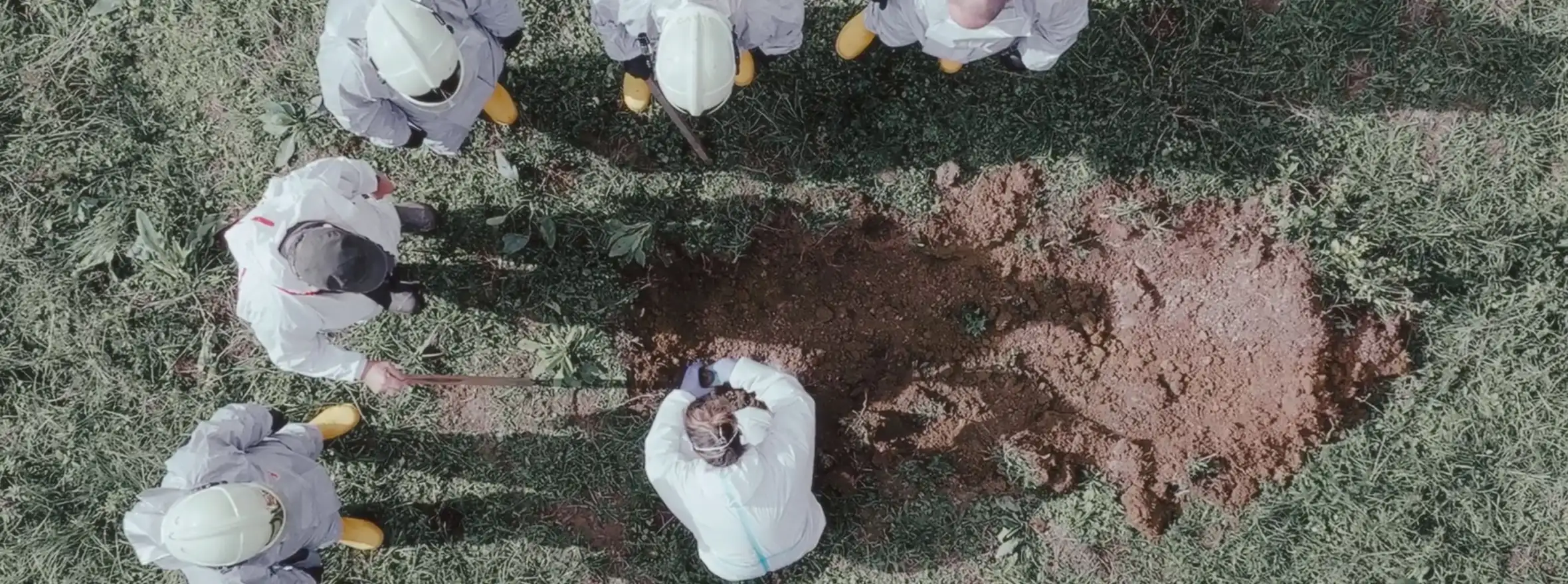 Wasteland Chronicles