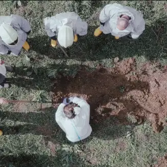 Wasteland Chronicles