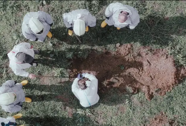 Wasteland Chronicles