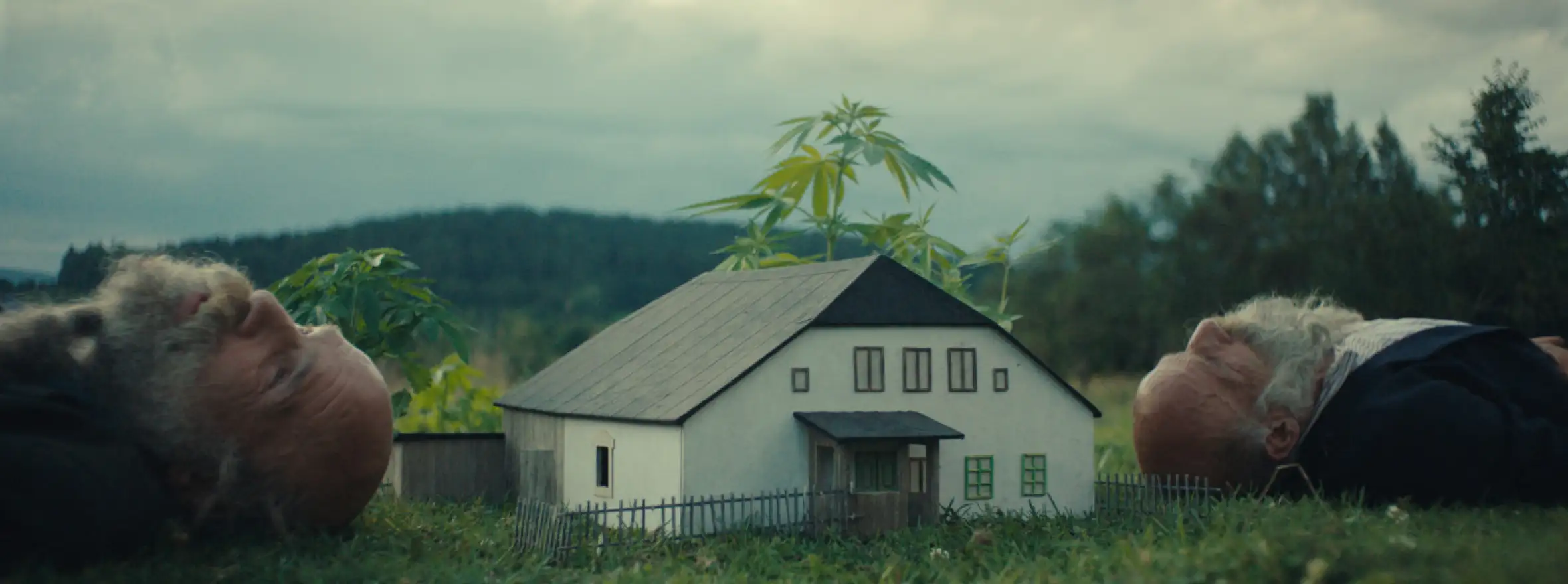 Better Go Mad In the Wild wins the Crystal Globe at KVIFF
